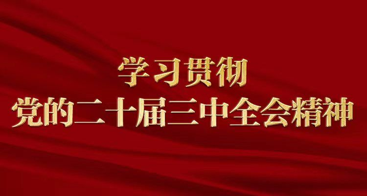 何德旭：引金融活水支持保障房建设